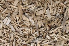 biomass boilers Coedkernew